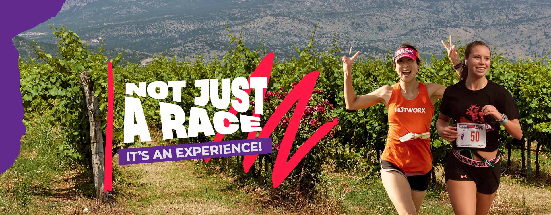 winerun - Turtle Run Winery